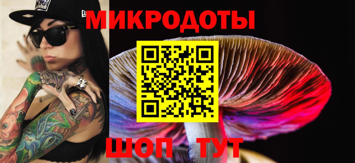 Псилоцибиновые грибы Psilocybine cubensis Ишимбай